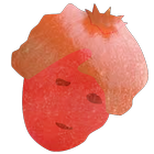 NO POMEGRANATES ícone