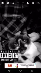 Parental Advisory Meme Maker APK 1.0.0 for Android – Download ...