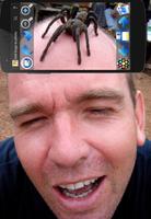 Bugs on photo prank screenshot 2