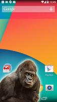 Gorilla in phone prank Affiche