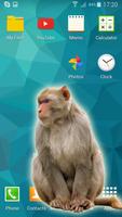 Gorilla in phone prank Screenshot 1