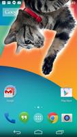 Cat inside phone prank تصوير الشاشة 3