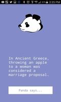 Fact Panda Affiche