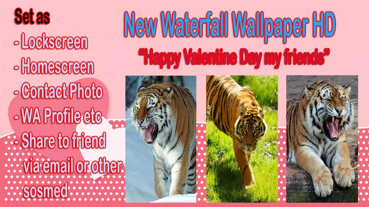 New Tiger Wallpaper APK for Android Download
