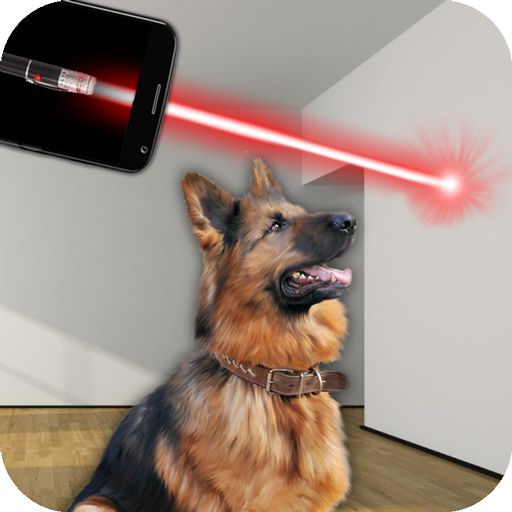 Laser for dogs