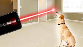 Laser for dogs Affiche