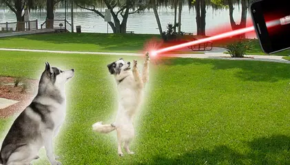 Laser for dogs APK download