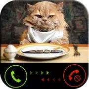 Phone call from cat