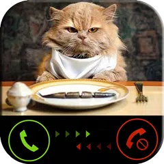 Phone call from cat APK download