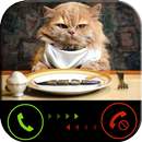 Phone call from cat APK