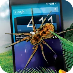 Baixar Aranha realista na tela APK