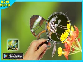 Poster magnifying glass microscope + flashlight app