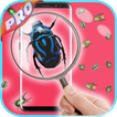 magnifying glass with light & microscop app