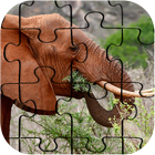 BEST Elephant Jigsaw Puzzle Zeichen