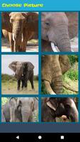 BEST Elephant Jigsaw Puzzle скриншот 3