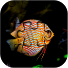Fish Jigsaw Puzzle HD Ultra أيقونة