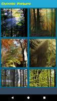 Forest Jigsaw Puzzle FREE 截圖 3