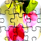 High Quality Jigsaw Puzzle آئیکن