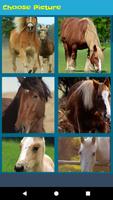 Top Horse Jigsaw Puzzle 截圖 3
