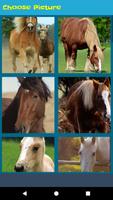 Top Horse Jigsaw Puzzle 스크린샷 3