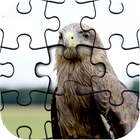 Master Collections of Jigsaw Puzzle Game Pro Zeichen