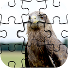 آیکون‌ Master Collections of Jigsaw Puzzle Game Pro