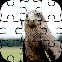 Master Collections of Jigsaw Puzzle Game Pro Affiche