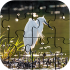 Master Live Jigsaw Puzzle Game आइकन