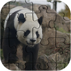 Best Panda Jigsaw Puzzle NEW آئیکن