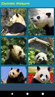 Best Panda Jigsaw Puzzle NEW capture d'écran 3