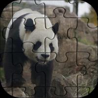 Best Panda Jigsaw Puzzle NEW plakat