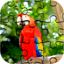 APK TOP Parrot Jigsaw Puzzle
