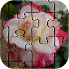 Roses Jigsaw Puzzle High Quality Images Zeichen