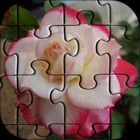 Roses Jigsaw Puzzle High Quality Images Plakat
