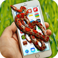 snake inside phone