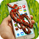 Serpent à l'intérieur du téléphone APK