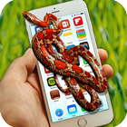 Serpent à l'intérieur du téléphone icône