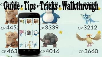 Poster How to Play Pokemon Go