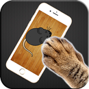 Game for cats APK