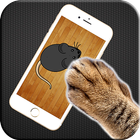 Juego para gatos icono