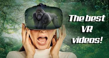 Collection de vidéos VR Affiche