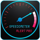 Icona Speed car meter 2015