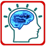 ”Braino Memory Puzzle for Kids