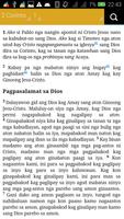 Holy Bible in Hiligaynon poster