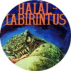 Halállabirintus icône