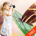 Butterfly Photo Frames