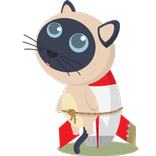 Rocket Cat