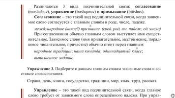 Rus tili 11-sinf ảnh chụp màn hình 3