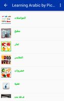 Learning Arabic by Pictures الملصق