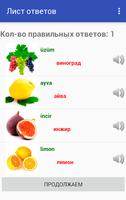 Learning Turkish by pictures screenshot 3